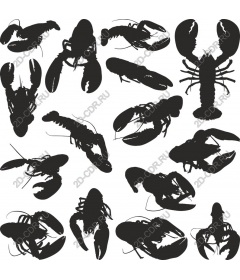  Package lobsters