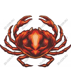  Bright crab