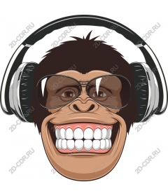 Funny monkey with headphones