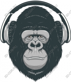 Gorilla Beats: Headphones