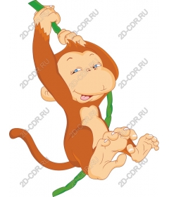 Playful monkey