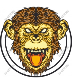 Evil monkey