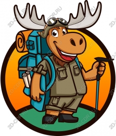 Adventurous moose