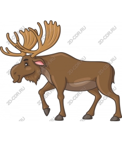  Charming moose