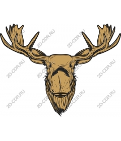 The moose head