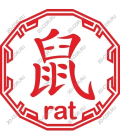  Cultured rat