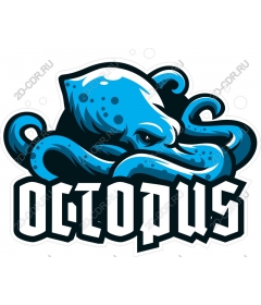  Octopus