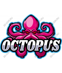 Bright octopus