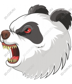 Head of a ferocious Panda