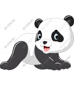 Playful Panda