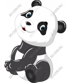  Adorable Panda