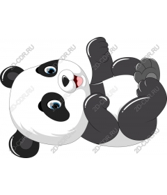 Playful Panda