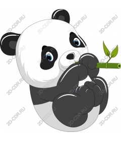  Adorable Panda