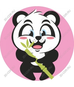  Adorable Panda