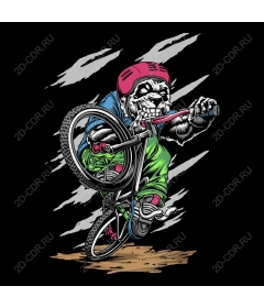  BMX Скелетон Вили