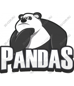  Charismatic Panda
