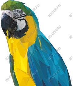 Geometric parrot