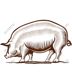 Stylized pig
