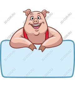 Funny cartoon pig
