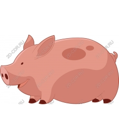  Cute pig