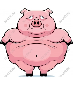  Charming chubby cartoon pig