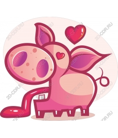 Playful Pig