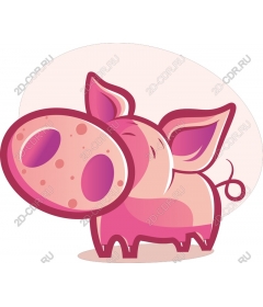  Cute cartoon pig