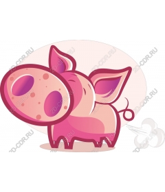 Funny Pig