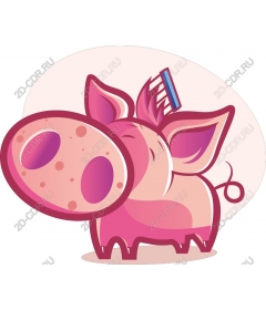Funny pig with toothbrush