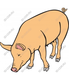  Adorable cartoon pig