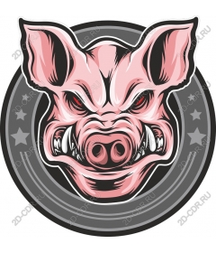  Ferocious pig's head
