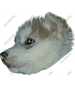  Polygonal the head of a dog