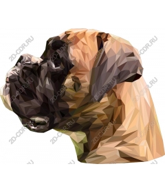  Polygon dog