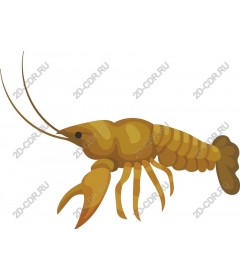  Cancers