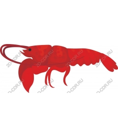 Red shrimp