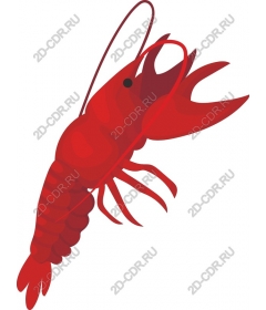  Bright red shrimp