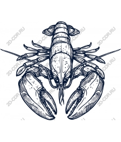 Lobster - Premium