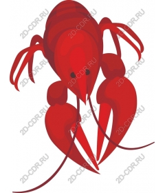 Live red lobster