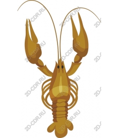  Cancers