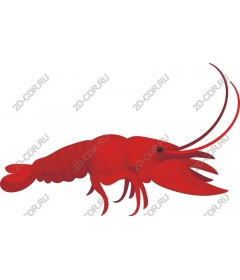  Bright red lobster