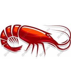  Vivid shrimp