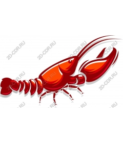 Shellfish delicacies - Omar