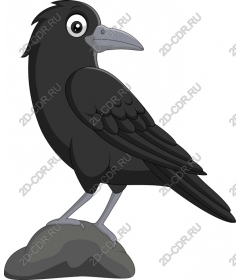 Playful Raven cartoon