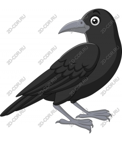  Bizarre cartoon Raven
