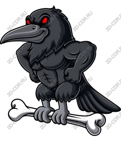  Muscular Raven