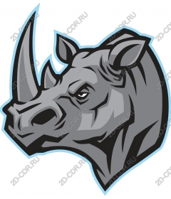 Majestic Rhino