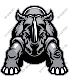  Bold Rhino