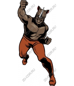  Rhino Superhero