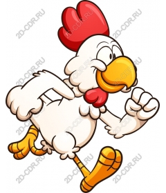 Playful running chicken