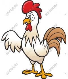  Cartoon Cock